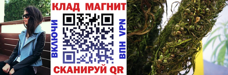 Магазины продажи наркотиков Ногинск Alpha-PVP  МАРИХУАНА  Бутират  Кокаин 
