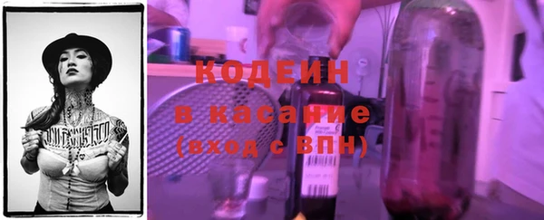 индика Магас