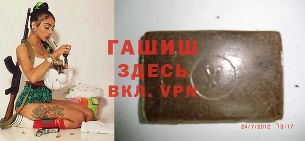 индика Магас