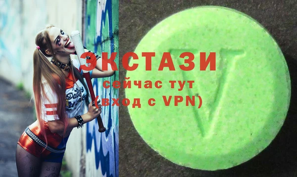 индика Магас