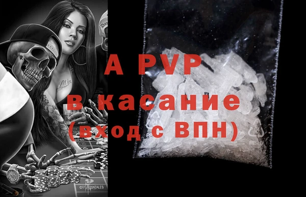 индика Магас