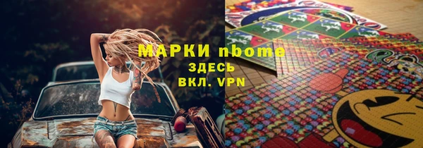 индика Магас