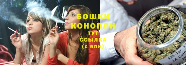 индика Магас