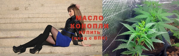 индика Магас