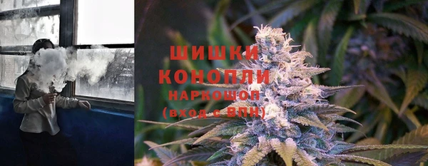 индика Магас