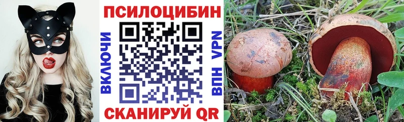 купить наркотики сайты  блэк спрут вход  Галлюциногенные грибы Magic Shrooms  Ногинск 