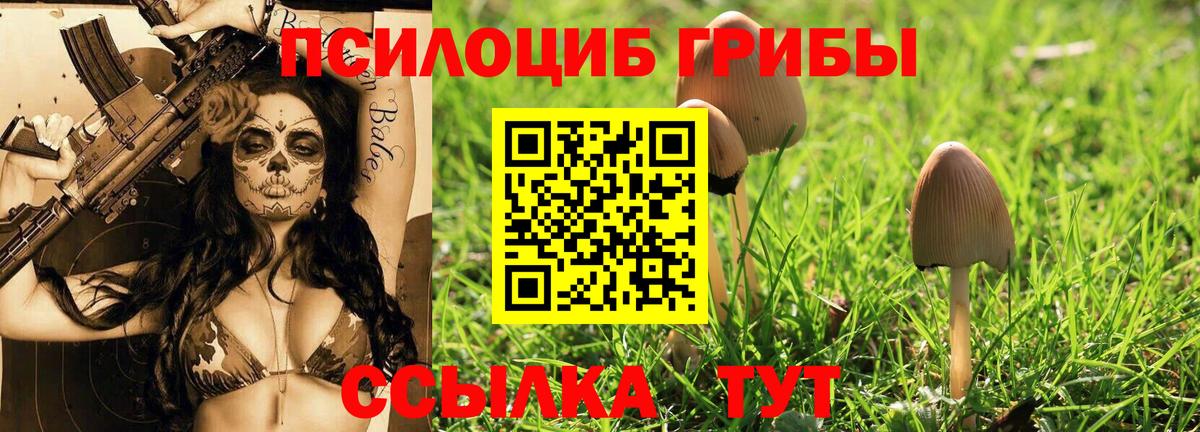 Псилоцибиновые грибы мицелий  Псилоцибиновые грибы ЛСД  Ногинск  Вход с VPN 