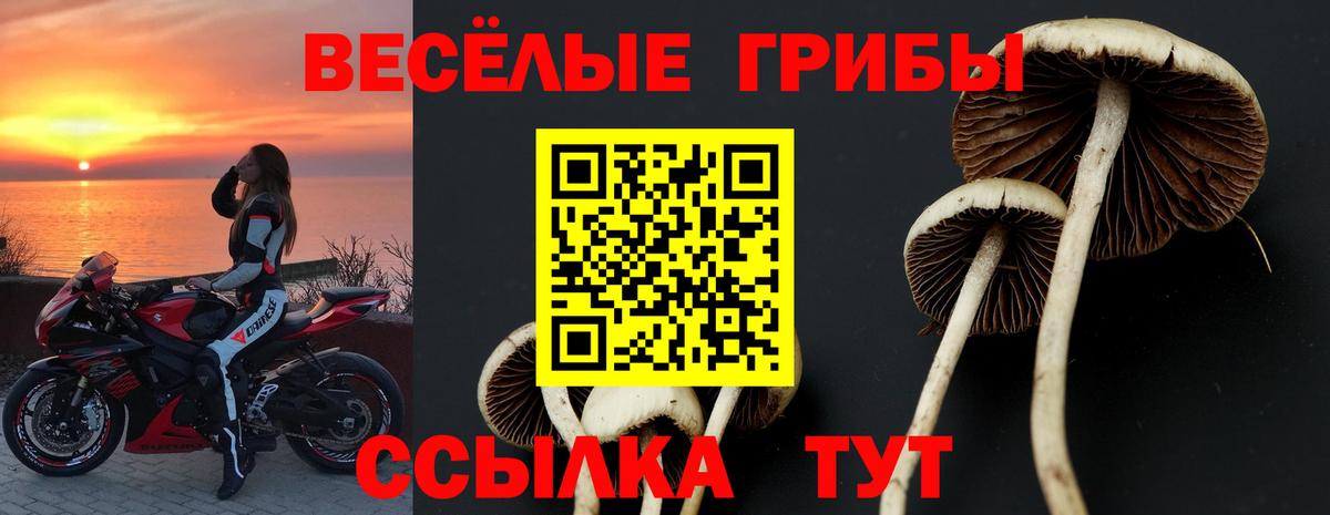 Псилоцибиновые грибы GOLDEN TEACHER Ногинск